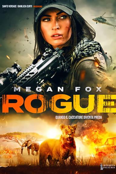 Poster Rogue