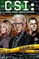 Stagione 13