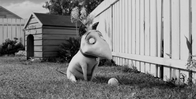 Frankenweenie mostra le difficoltà nell'accettare la morte Sparky davanti a una pallina da golf