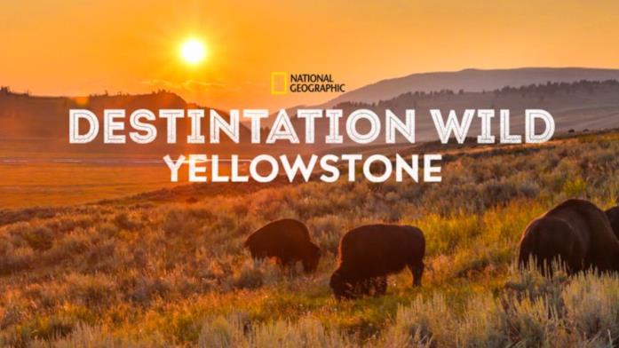 Destination Wild: Yellowstone Destination Wild: Yellowstone