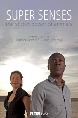 Poster Super Senses: The Secret Power of Animals