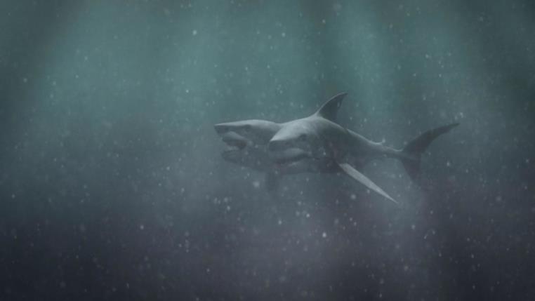 Monster Shark Attack