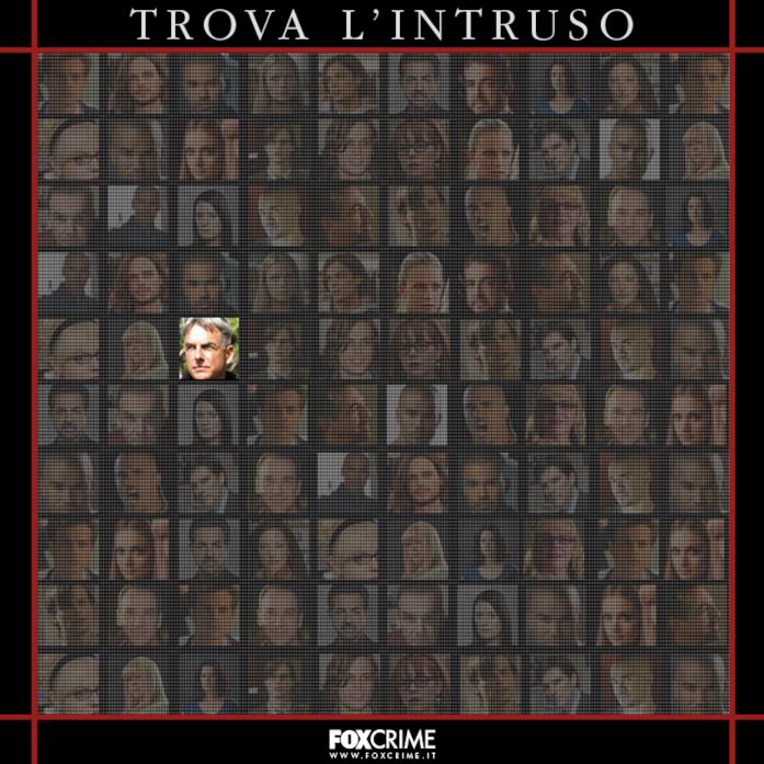 Trova l’intruso - 2