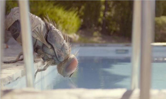 Mandibules film Una mosca gigante si disseta presso una piscina