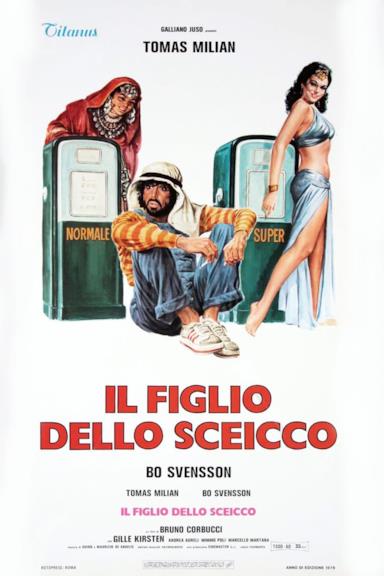Poster Il figlio dello sceicco