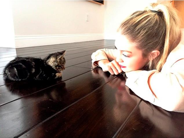 Gigi Hadid Gigi Hadid osserva un gattino