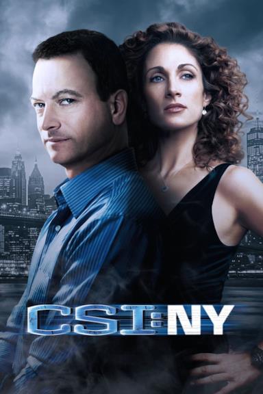 Poster CSI: New York