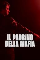 Poster Il padrino della mafia