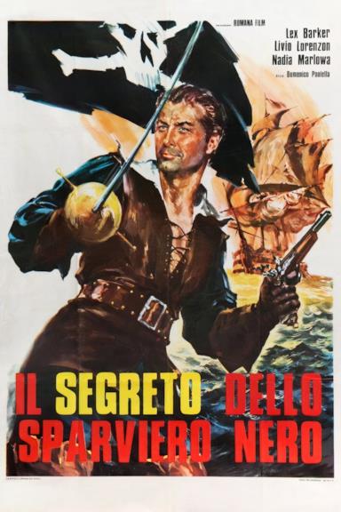 Poster Il segreto dello sparviero nero