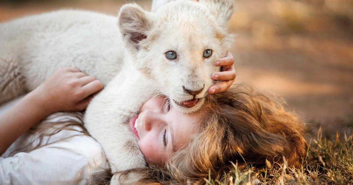 Mia E Il Leone Bianco Come Finisce