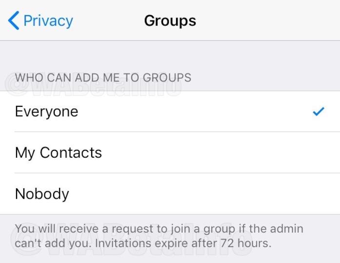 I filtri per gli inviti gruppi di WhatsApp potranno essere gestiti dalle impostazioni in-app Screen dei filtri per gli inviti nei Gruppi in arrivo su WhatsApp