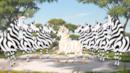 Anteprima La zebra d’oro