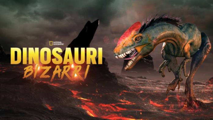 Dinosauri bizzarri Dinosauri bizzarri