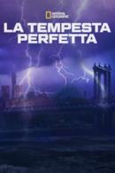 Poster La tempesta perfetta