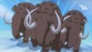 Anteprima Episodio 9