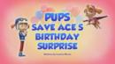 Anteprima I cuccioli salvano la sorpresa di compleanno di Ace