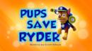 Anteprima I cuccioli salvano Ryder