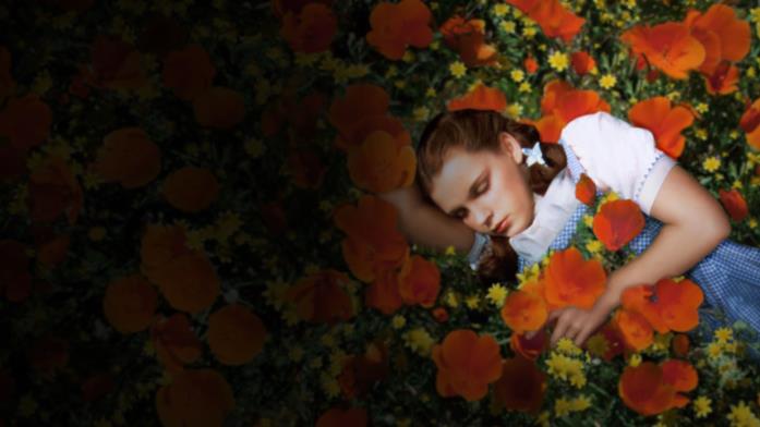 Il mago di Oz Dorothy in una scena de Il mago di Oz