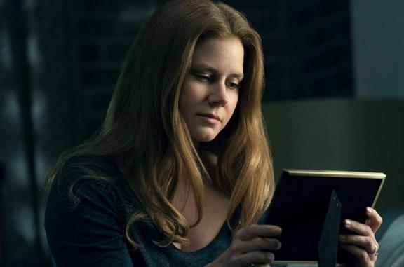 La donna alla finestra: cosa sappiamo del thriller su Netflix con Amy Adams, Anthony Mackie e Gary Oldman