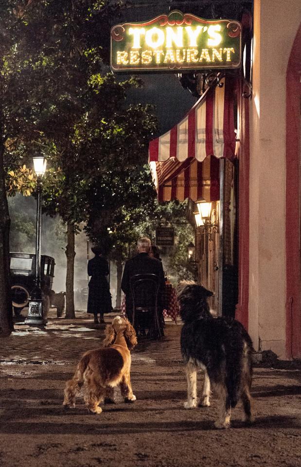Lilli e Biagio davanti al ristorante di Tony Un'immagine di Lilli e il Vagabondo