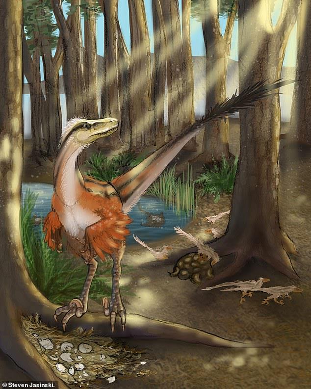 Il Dineobellator notohesperus Una ricostruzione del Dineobellator notohesperus