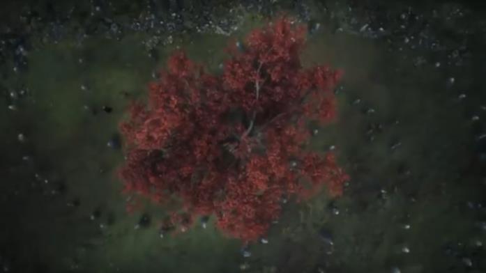 GoT 6: l'albero diga dove nasce il Re della Notte GoT 6: l'albero diga dove nasce il Re della Notte in una visione di Bran
