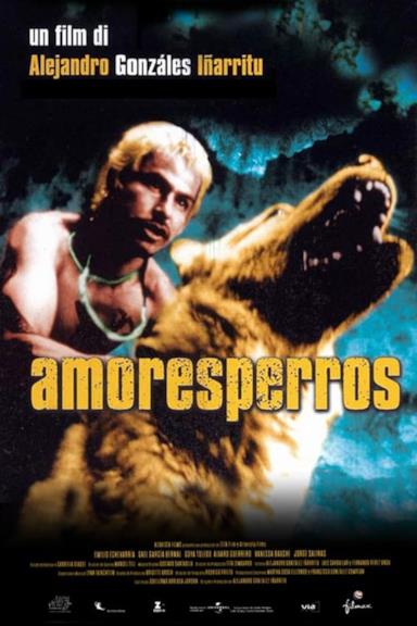 Poster Amores perros