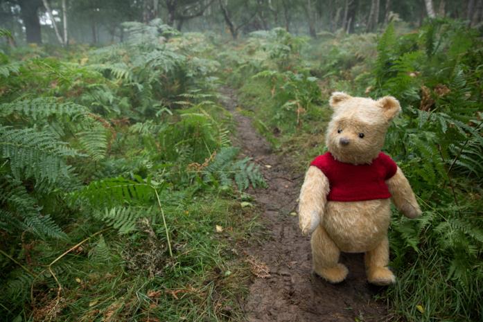 Winnie the Pooh in Ritorno al Bosco dei Cento Acri Una scena tratta da Ritorno al Bosco dei Cento Acri