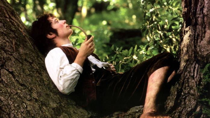 Elijah Wood Elijah Wood nei panni di Frodo Baggins