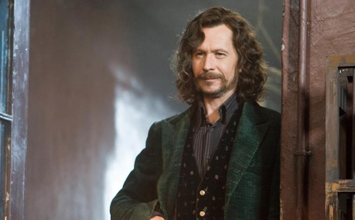 Harry Potter Gary Oldman in Harry Potter