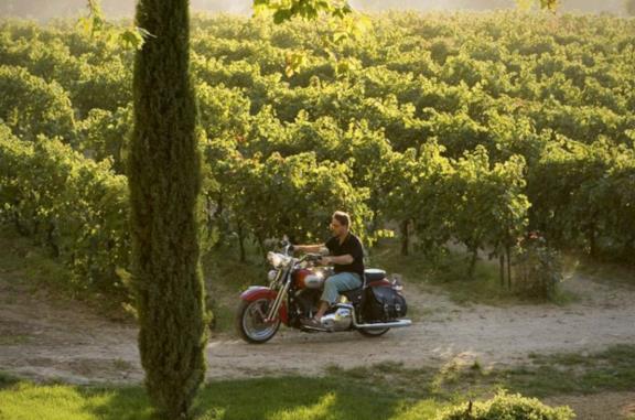 Un'ottima annata - A Good Year, le frasi più famose dal film con Russell Crowe