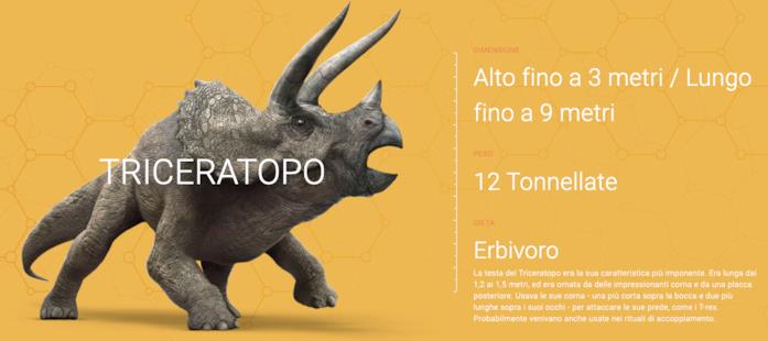 Google vi porta alla scoperta dei dinosauri La scheda del Triceratopo