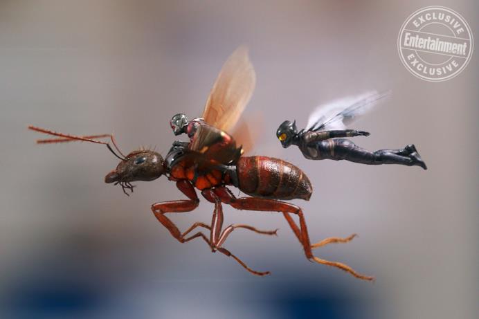  Ant-Man e Wasp volano in una concept art