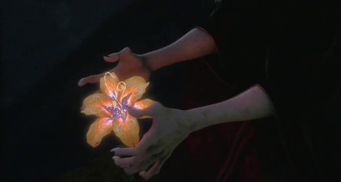 Il fiore magico che concede l'eterna giovinezza a Gothel Il fiore magico presente in Rapunzel