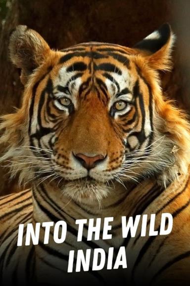 Poster Into the wild: India