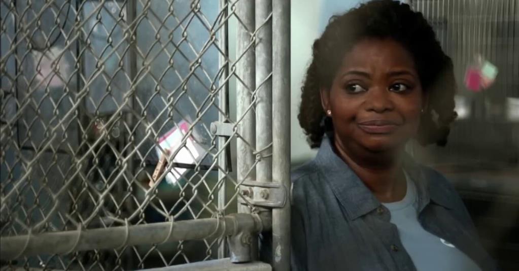 Nel mondo libero Trama, cast e