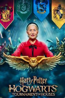 Poster Harry Potter: Hogwarts Tournament of Houses