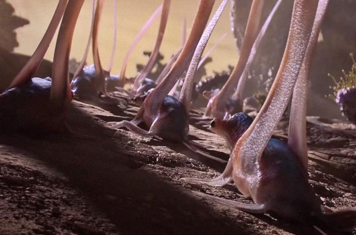 Una scena di Alien World Alcune creature aliene strisciano sul terreno