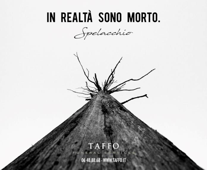 Dopo Spelacchio e Spezzacchio, ecco Seppellacchio, l'albero di Natale di Taffo Il manifesto funebre di Taffo per Spelacchio