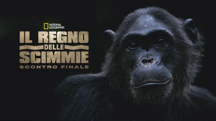 Il regno delle scimmie scontro finale Il regno delle scimmie scontro finale