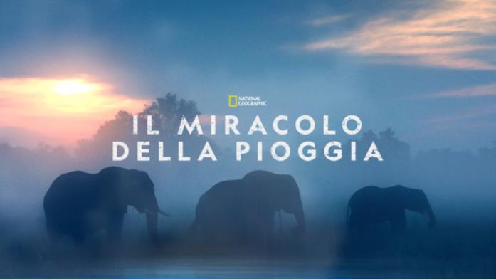 Il miracolo della pioggia Il miracolo della pioggia
