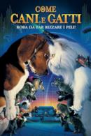 Poster Come cani e gatti