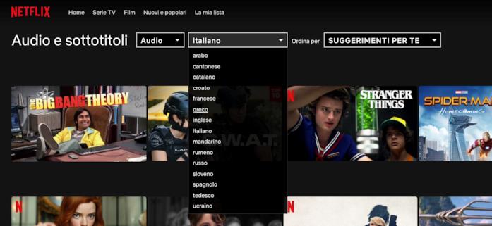 Ricerca per Audio e Sottotioli di Netflix Interfaccia web per ricerca di audio e sottotitoli su Netflix