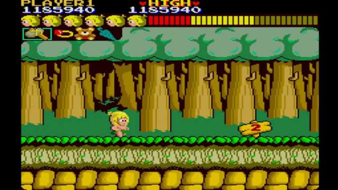 Wonder Boy Il gioco Wonder Boy
