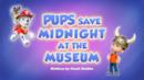 Anteprima I cuccioli salvano una notte al museo
