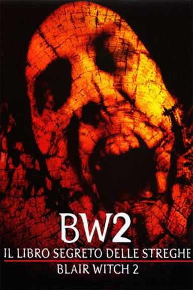 Poster Il libro segreto delle streghe - Blair Witch 2
