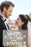Stagione 9