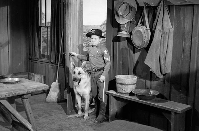 Rin Tin Tin e Rusty