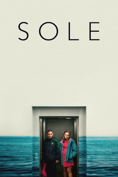 Poster Sole