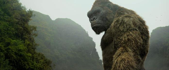 Godzilla Vs. Kong, le prime spettacolari immagini mostrate al CCXP King Kong in una scena del film Kong: Skull Island